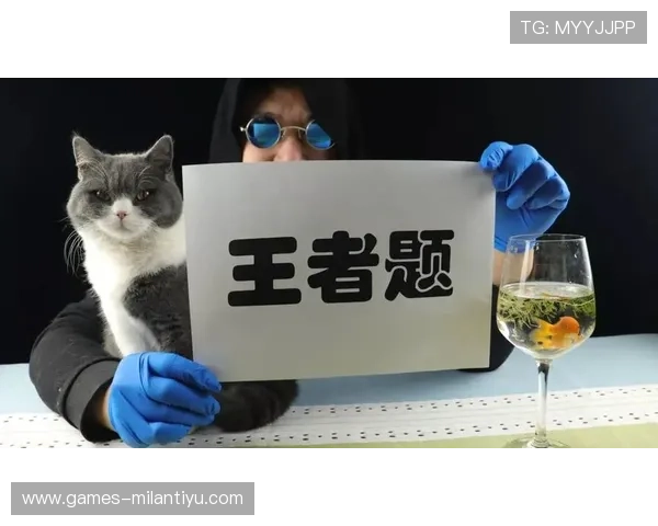 博鱼app登陆入口安全性分析，保障玩家账号信息安全的最新技术措施与登录流程介绍